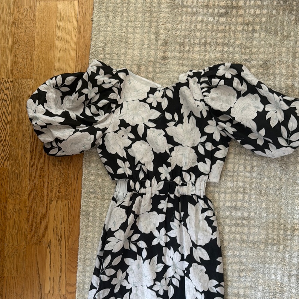 Cara Cara Andrea Dress Elegant Black and White Floral Midi Dress - Picture 2 of 6